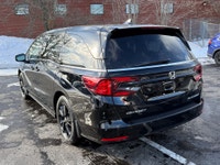 Certified. Black Edition|Leather|Navi|DVD|CarPlay 2024 Honda Odyssey Black Edition Black Edition|Lea... (image 4)
