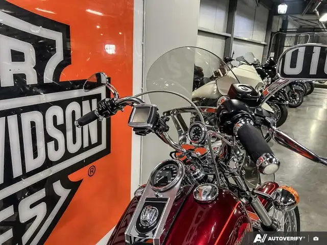 2000 Harley-Davidson FXDWG DYNA WIDE GLIDE in Street, Cruisers & Choppers in Calgary - Image 14