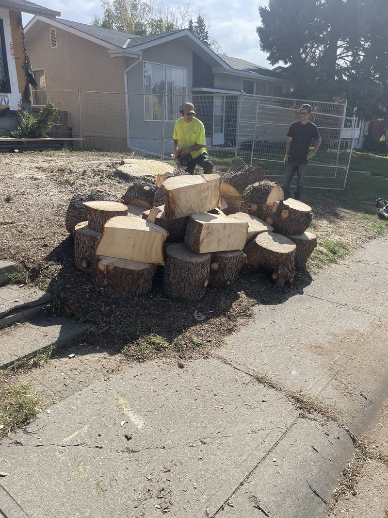 Free woods. Free Stuff Calgary Kijiji