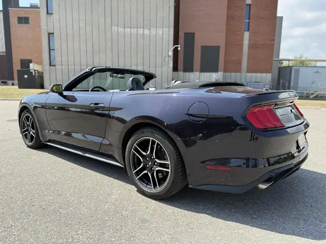 2023 Ford Mustang EcoBoost Premium Fastback for sale in Cars & Trucks in Mississauga / Peel Region - Image 3