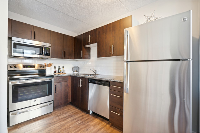 First on Tenth - First on Tenth Apartment for Rent in Long Term Rentals in Calgary