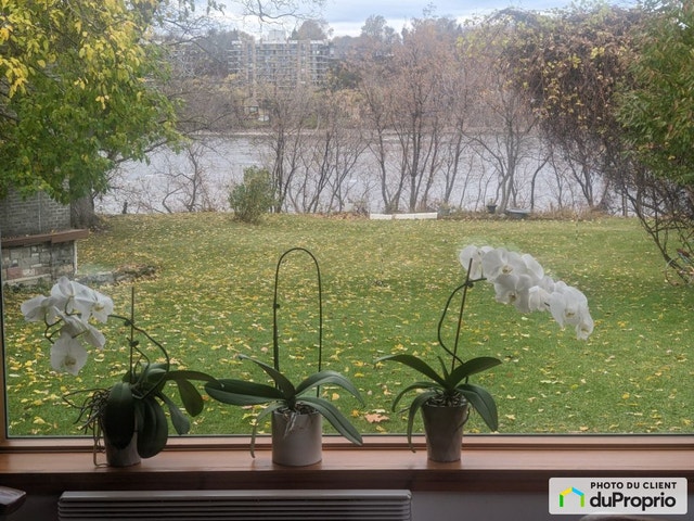 $875,000 - 1 1/2 Storey for sale in North Montreal — photo 3
