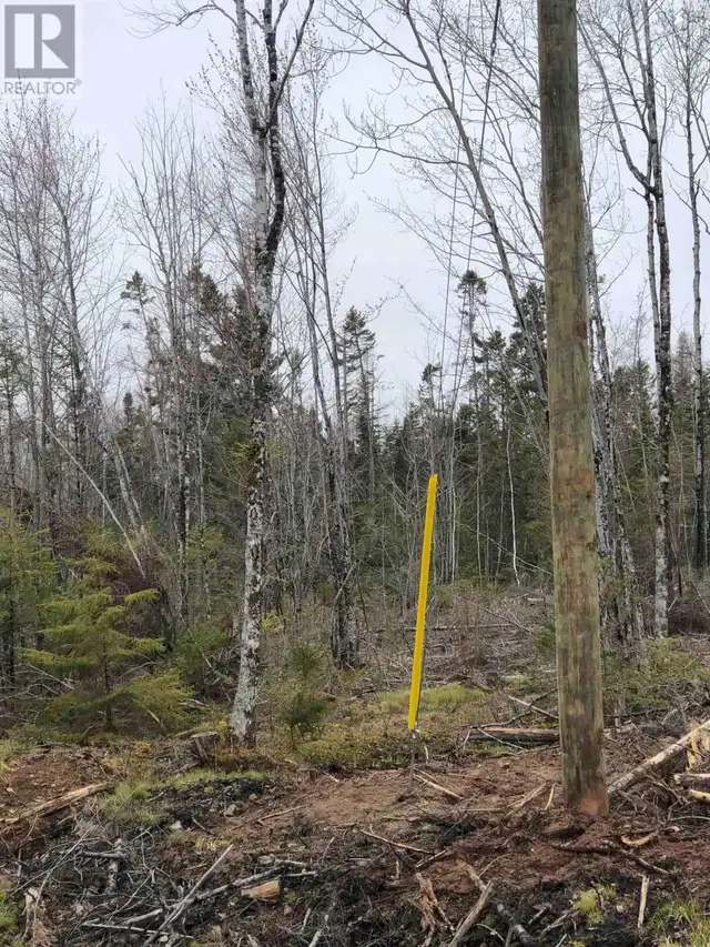 LOT 6 Tattrie Settlement Road French River, Nova Scotia in Land for Sale in New Glasgow - Image 11