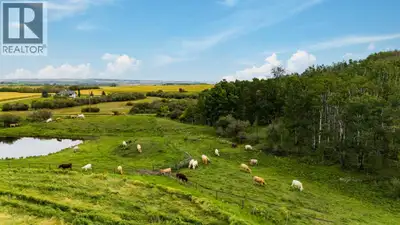 First time offered ! Here is a 79+- acre parcel that adjacent to Town of Okotoks south border. Views...
