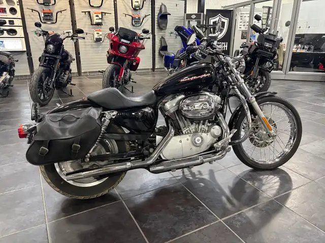 2004 Harley-Davidson Sportster 883 Custom in Sport Bikes in Sudbury - Image 5