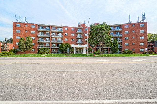 NEWLY RENOVATED 1 BEDROOM APARTMENT FOR RENT in Long Term Rentals in Hamilton
