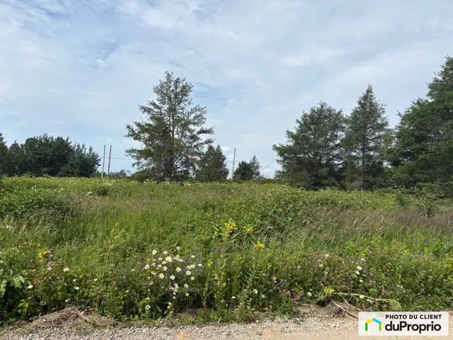 $61,000 - Residential Lot for sale in Grandes-Bergeronnes in Land for Sale in Saguenay - Image 3