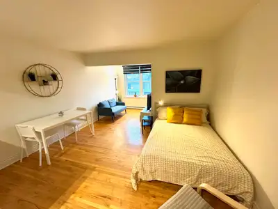 Superbes studio style loft 1 1/2 rénové libre