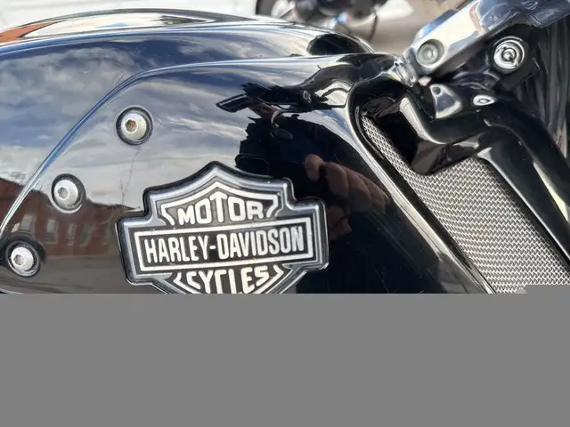 2009 Harley-Davidson V-Rod Muscle ~ V-ROD MUSCLE ~ 1250CC ~ LIQU in Street, Cruisers & Choppers in City of Toronto - Image 31