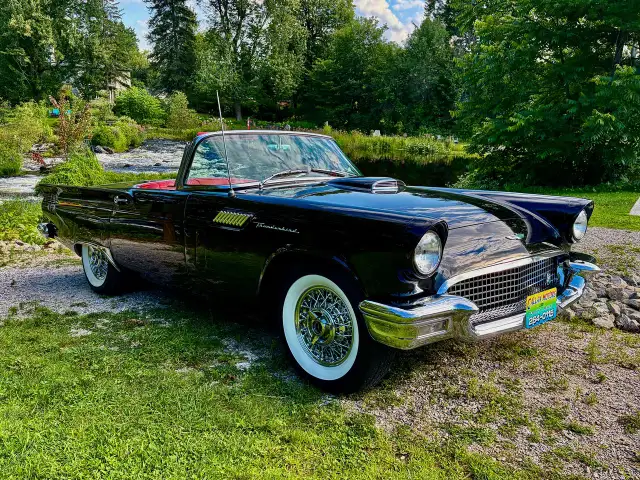 1957 Ford Thunderbird E-Code Tribute | Documented Restoration | 552489489950976003