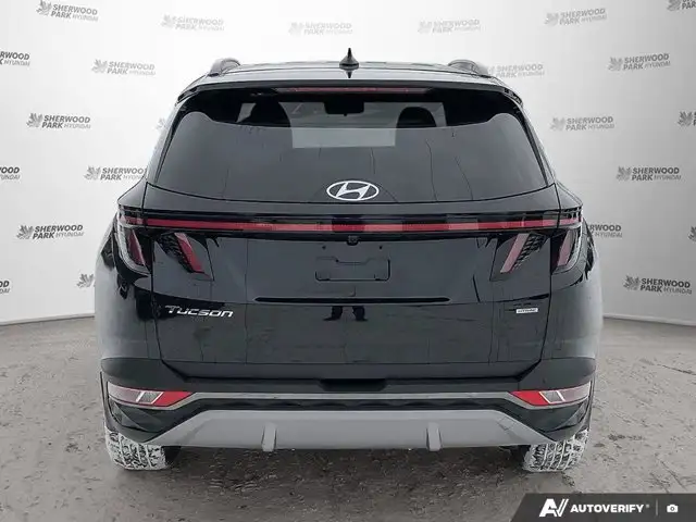 2024 Hyundai Tucson Trend | AWD | Panoramic Sunroof in Cars & Trucks in Edmonton - Image 6