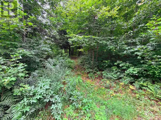 335 CENTRE ROAD McKellar, Ontario in Land for Sale in Barrie - Image 11