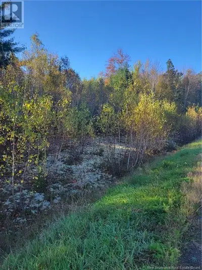 Peaceful and private, one acre lot fully treed with a mix of hardwood and softwood. Located on a qui...