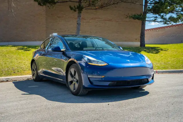 2021 Tesla Model 3 Long Range439732058729359362