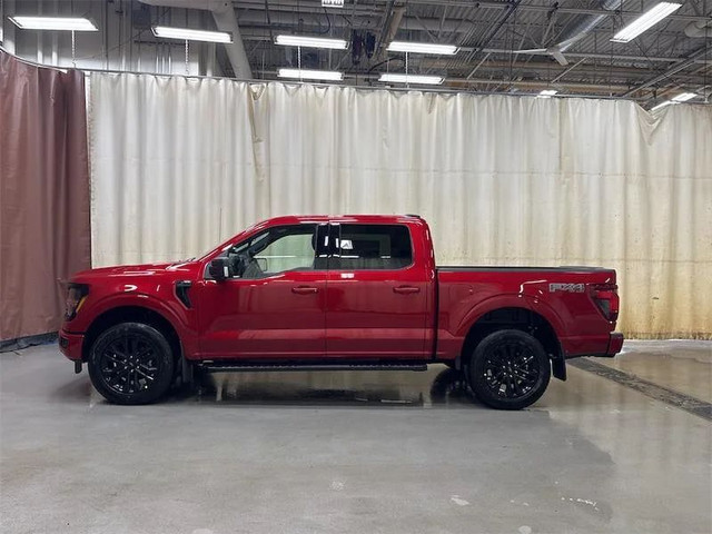 2025 FORD F-150 XLT in Cars & Trucks in Calgary - Image 2