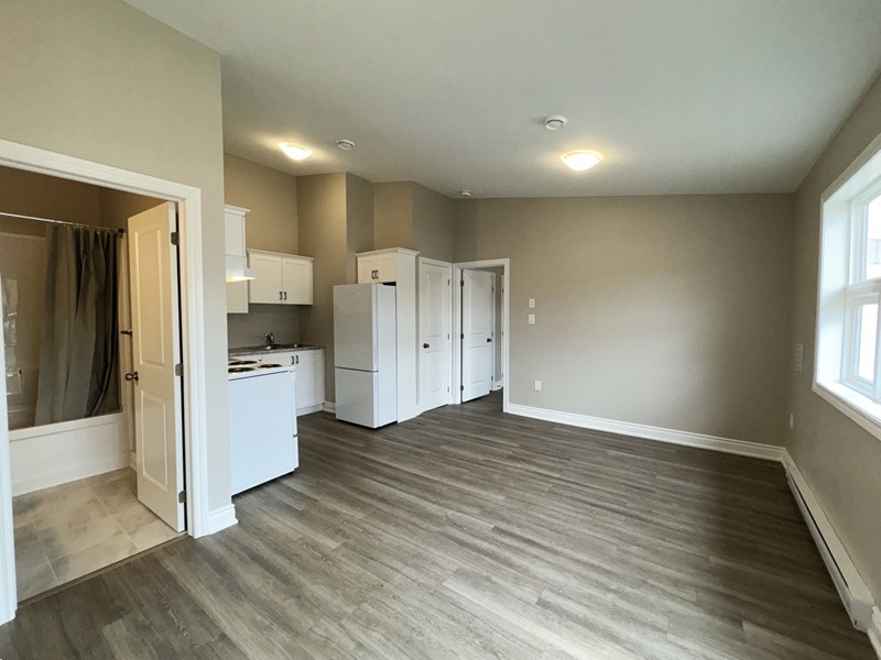 Beautiful Newly Renovated 1 Bedroom Apartments Available Now 3