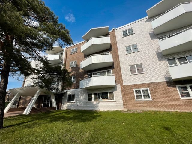 1 Bedroom Apartment in SSM - Near Parks in Long Term Rentals in Sault Ste. Marie