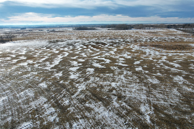ONLINE LAND AUCTION - INNISFAIL in Land for Sale in Red Deer