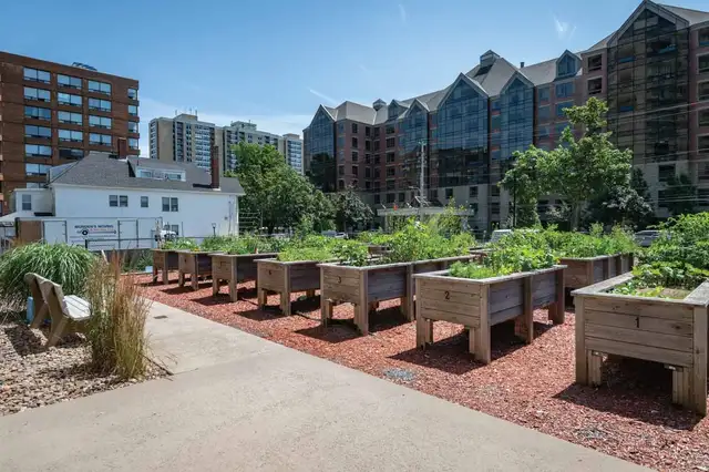 Spring Garden - Bachelor available at 5770 Spring Garden Road, H in Long Term Rentals in City of Halifax - Image 18