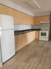 345 King St. | 1 Bedroom - NOW LEASING FOR 2024!