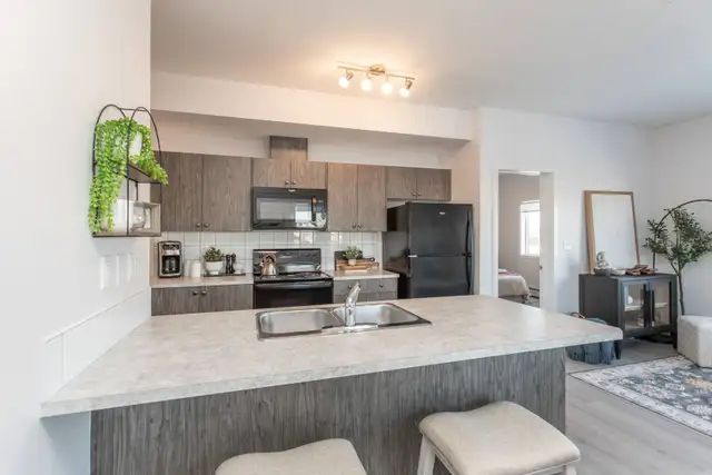 2 Bedroom Apartment **$699 Security Deposit Promo in Long Term Rentals in Red Deer - Image 3