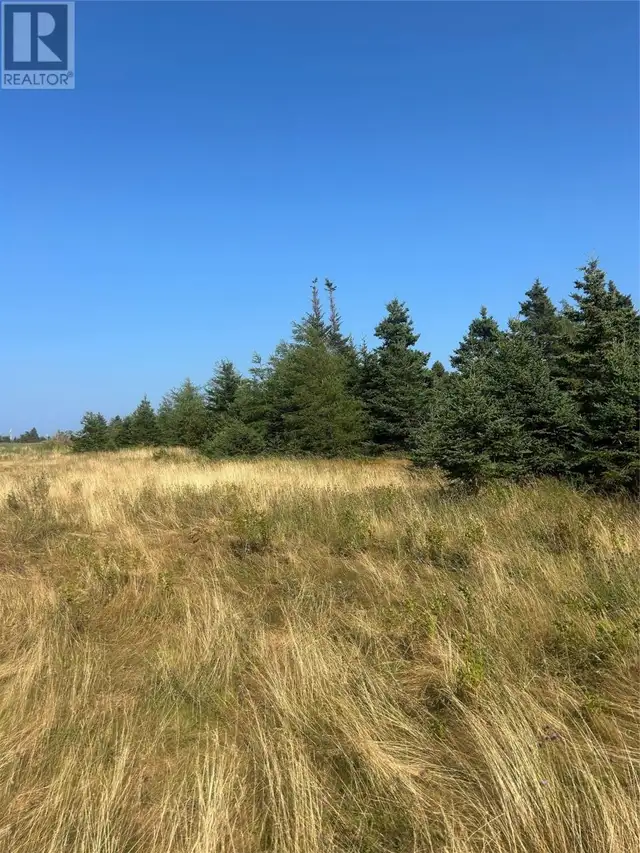 0 Beaver pond Road Road Roaches Line, Newfoundland & Labrador in Land for Sale in St. John's - Image 4