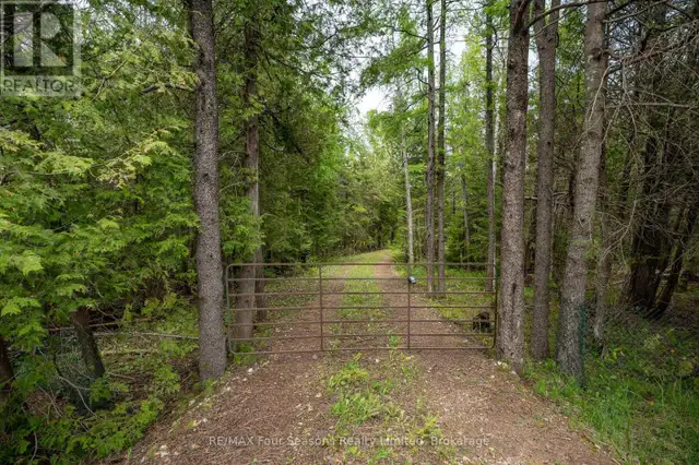 348305 4TH CONCESSION B CONCESSION Grey Highlands, Ontario63008308118659123