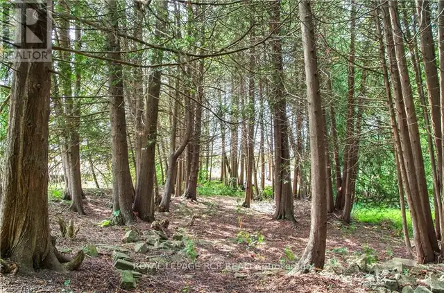 862 24TH AVENUE Hanover, Ontario in Houses for Sale in Owen Sound - Image 10