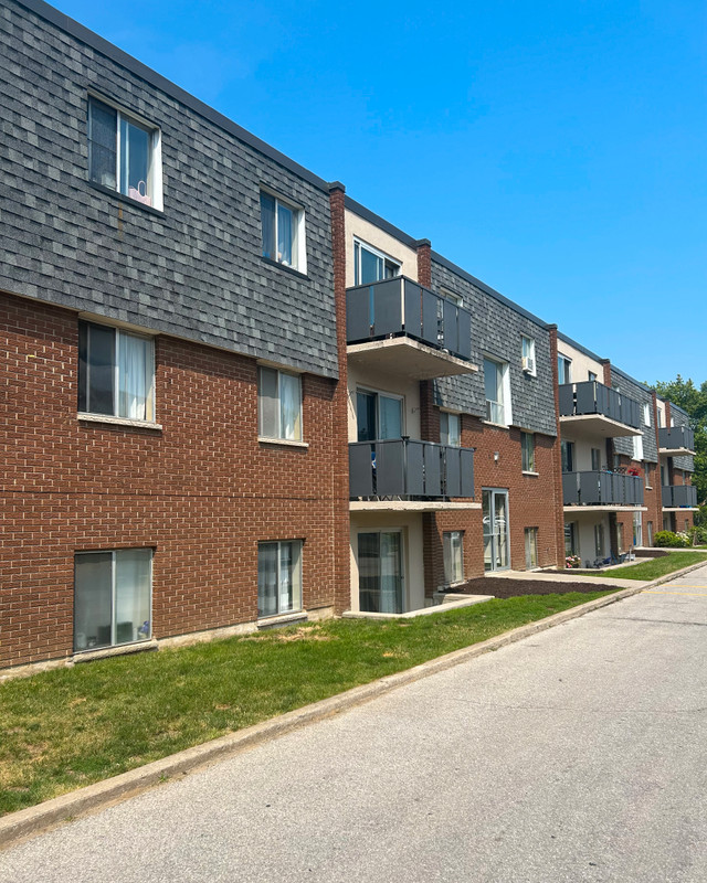 1 Bedroom Apartment Fully Renovated ALL INCLUSIVE Long Term Rentals