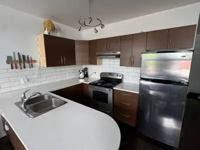 Super loft 2 ch, Griffintown, Sud-Ouest