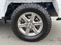 There is a reason the F-150 dominates Vancouver Island job sites and back roads. It is built for peo... (image 5)