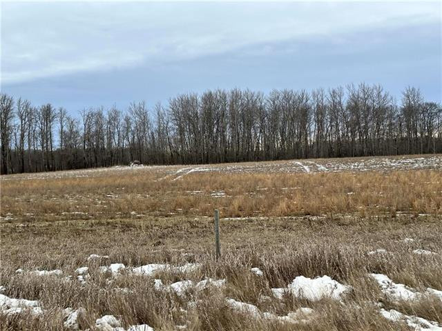 153 acres of gently rolling landscape with view of Minnedosa, MB in Land for Sale in Brandon - Image 3