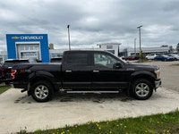 This Ford F-150 delivers a Regular Unleaded V8 5.0 L engine powering this Automatic transmission. EN... (image 2)