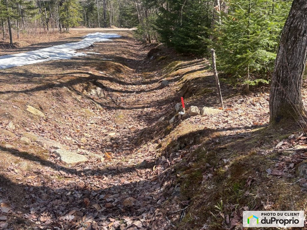 $65,000 - Residential Lot for sale in Chertsey — photo 3