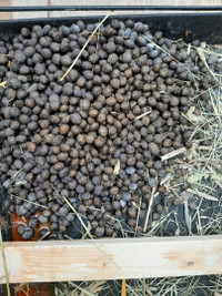 Pure Rabbit manure or urine, Bird/chicken/quail manure or poop f City of Toronto Toronto (GTA) Preview