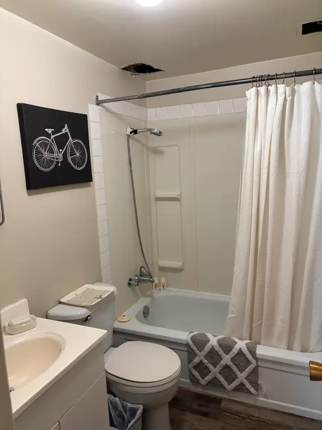 Fully furnished 1 bedroom and studio downtown apartment UofS63251763184385123
