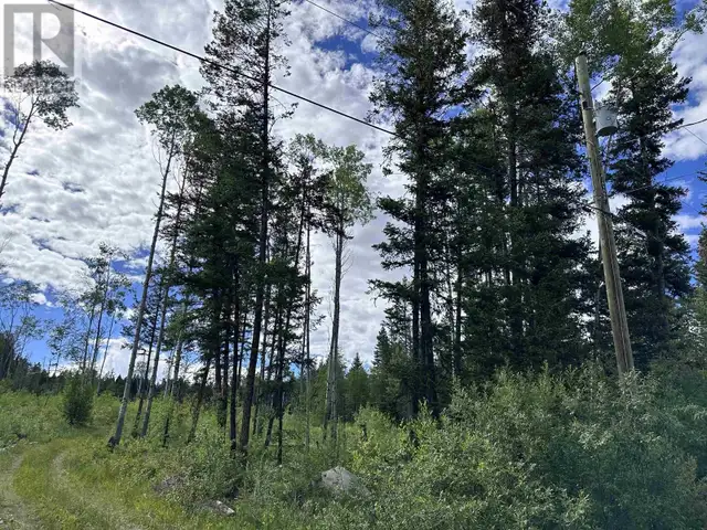 LOT 1 CHUCKWAGON TRAIL 100 Mile House, British Columbia in Land for Sale in 100 Mile House - Image 5