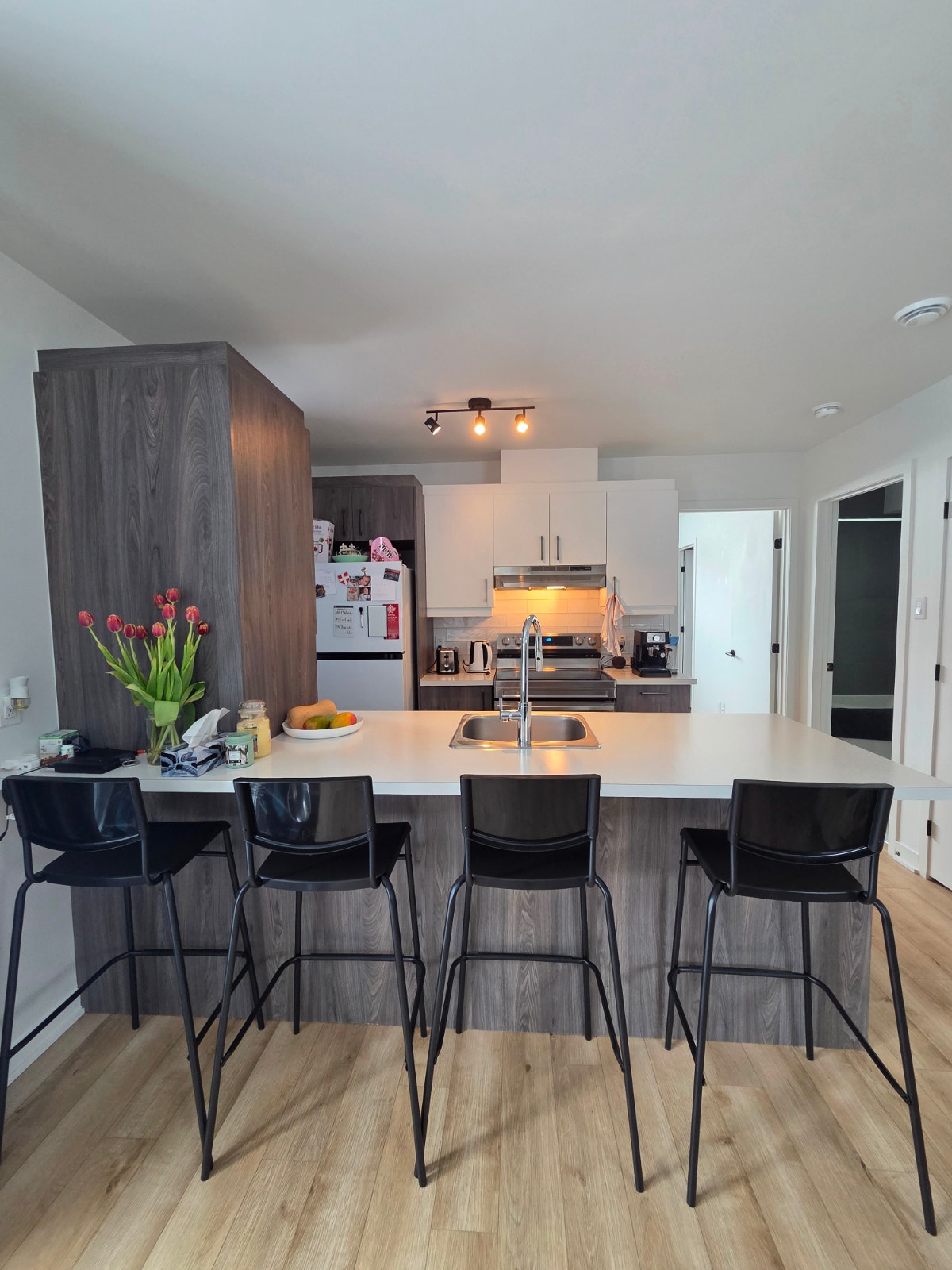 Appartement à louer animaux acceptés — photo 3