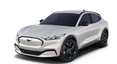 Engine: Electric Motor