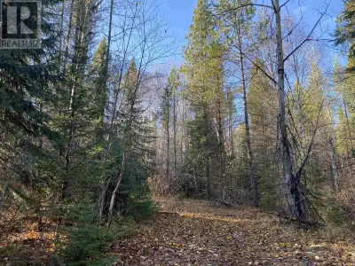 80 secluded acres surrounded by 360 degree mountain views! If you are looking to be away from it all...