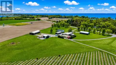 A Rare Opportunity in Canada's Most Southern Wine Region. Established in 2002, Erie Shore Vineyard i...