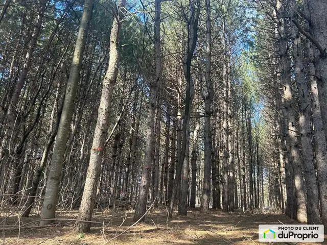 $199,000 - Residential Lot in Drummondville (St-Nicéphore) in Land for Sale in Drummondville - Image 5