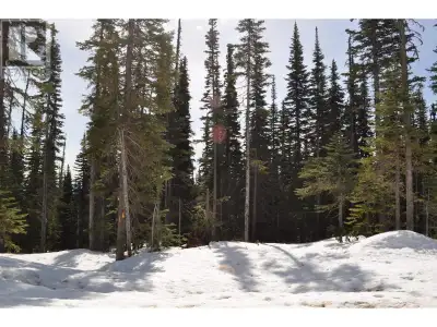 * PREC - Personal Real Estate Corporation. Live on Hudson Bay Mountain and ski to and from your door...
