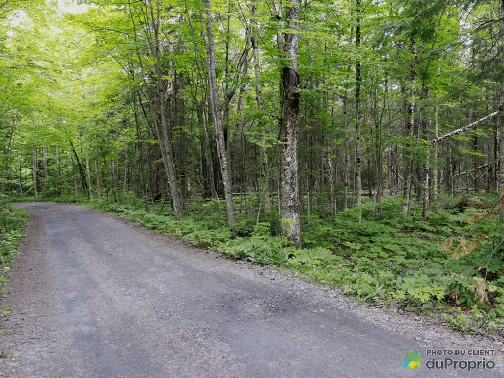 $190,000 - Residential Lot for sale in St-Alfred — photo 2