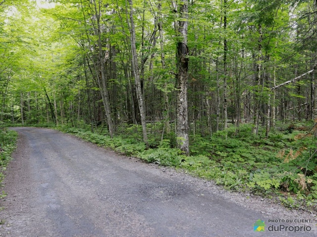 $190,000 - Residential Lot for sale in St-Alfred — photo 2