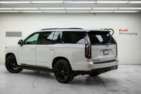 Super rare Diesel model! Bypass the gas stations and elevate your drive with this eye catching 2024... (image 5)
