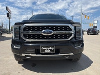 2021 Ford F-150 Platinum | 3.5L EcoBoost | MASSAGING SEATS If youve been waiting for the right truck... (image 7)