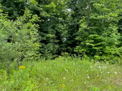 Beautiful 2 Acres-Haliburton Seller Financing $490/mth, View more