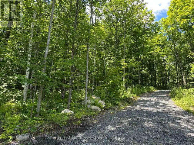 0-3 JACKS LAKE Parry Sound Remote Area (Golden Valley), Ontario63007359924353122