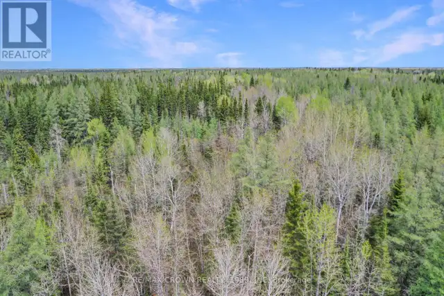 FAUQUIER-STRICKLAND - 319 HIGHWAY 11 Kapuskasing, Ontario in Land for Sale in Kapuskasing - Image 13